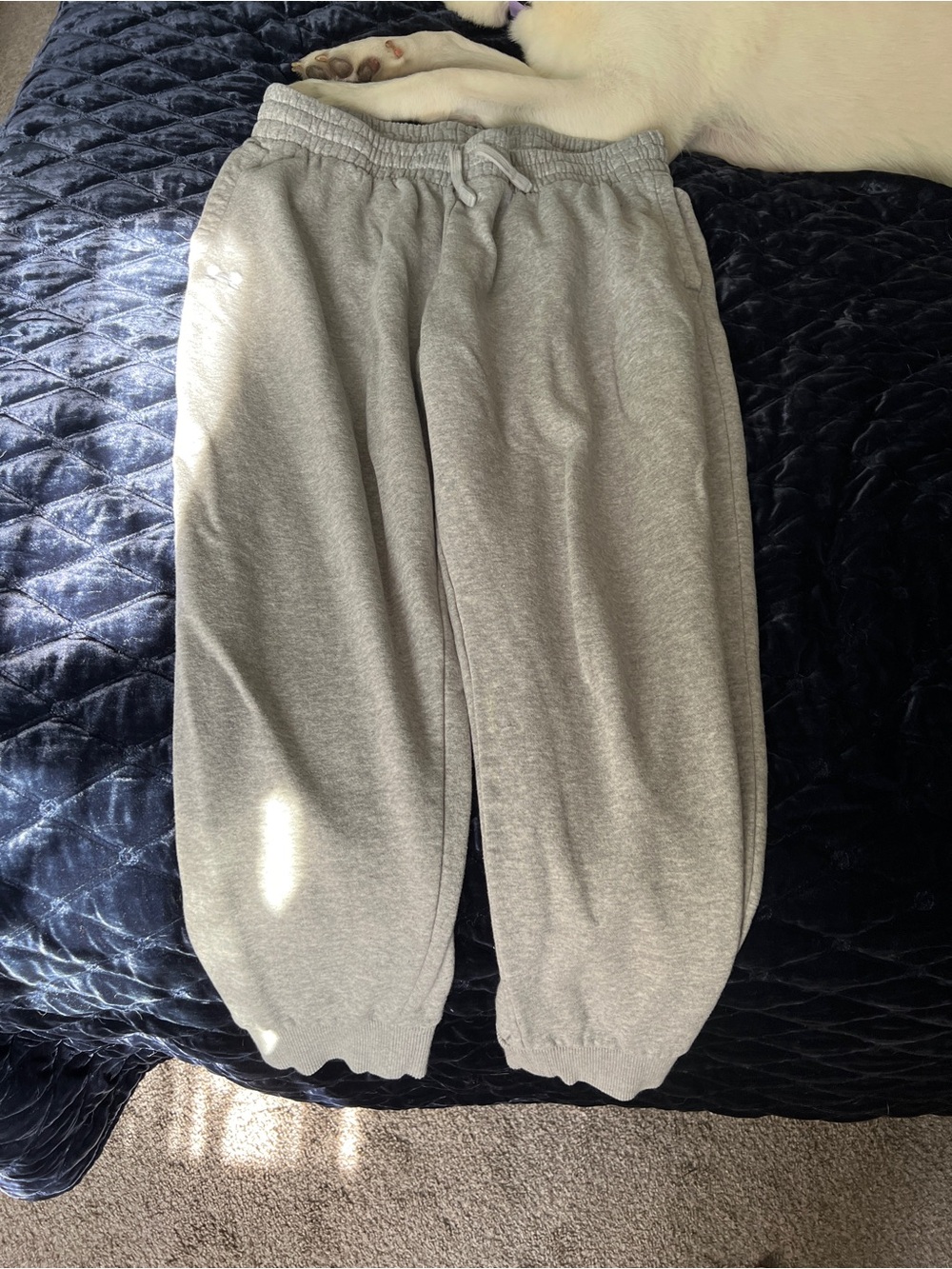 Under Armour Gray Elastic Waist Track Pants